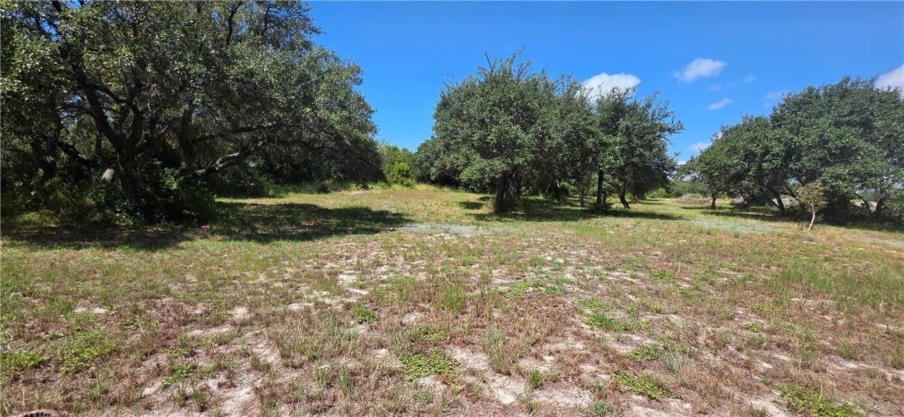 6.59 acres in San Patricio County - photo 4