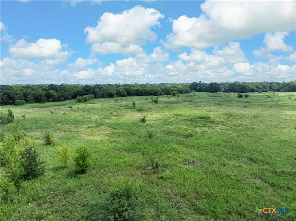 26.67 acres in Falls County - photo 15