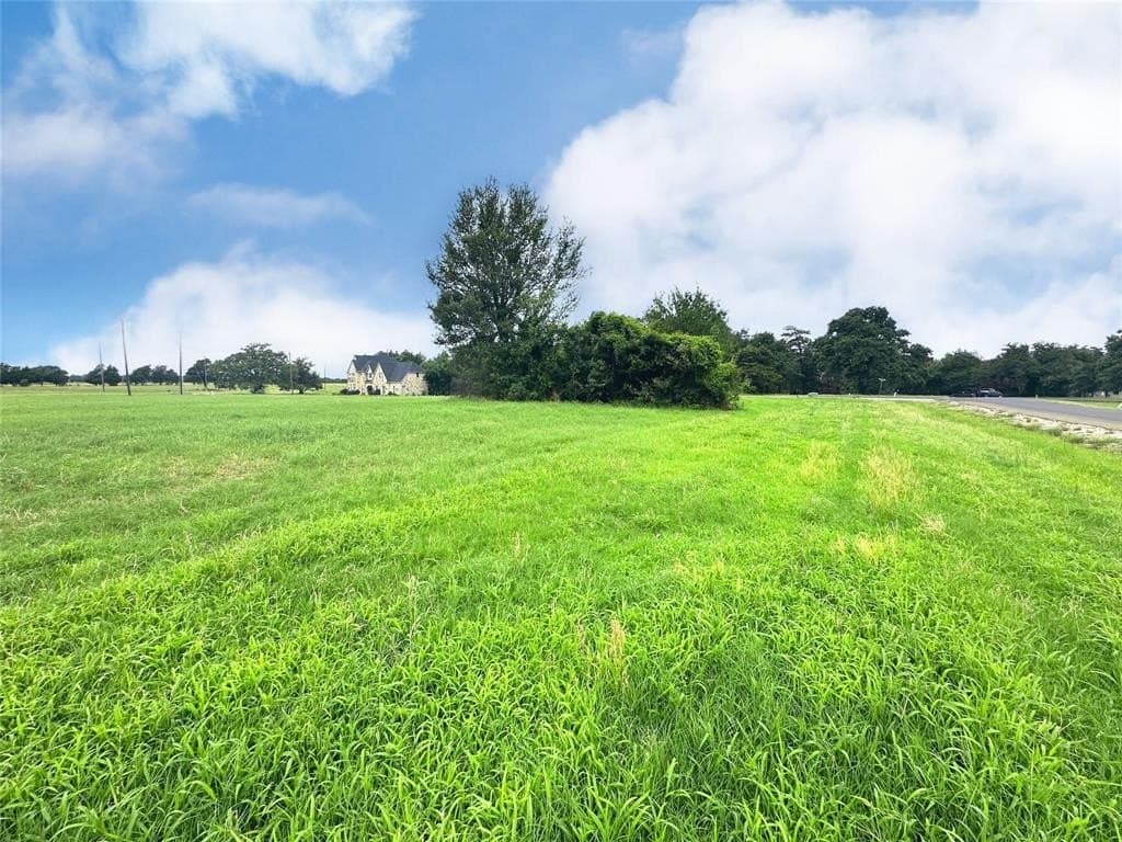 1 acres in Navarro County - photo 25