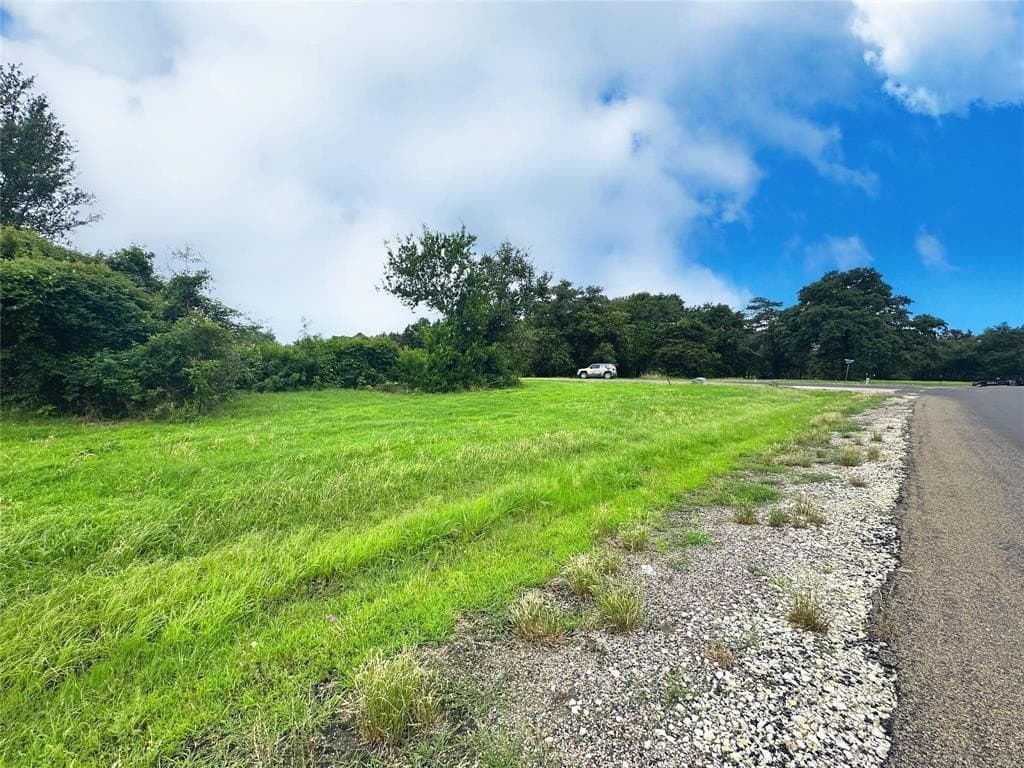 1 acres in Navarro County - photo 10