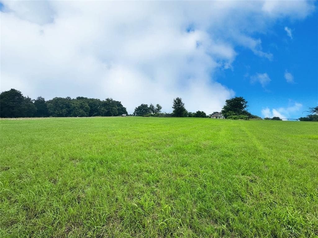 1 acres in Navarro County - photo 3