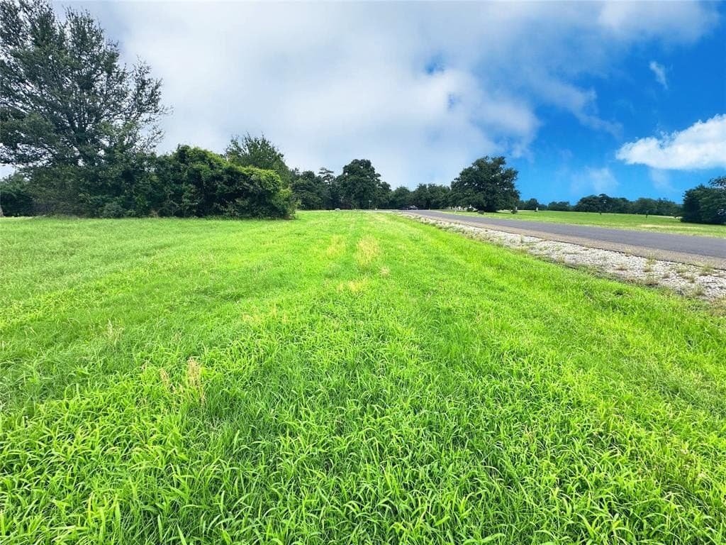 1 acres in Navarro County - photo 27
