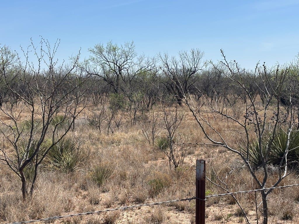 160 acres in Scurry County - photo 10