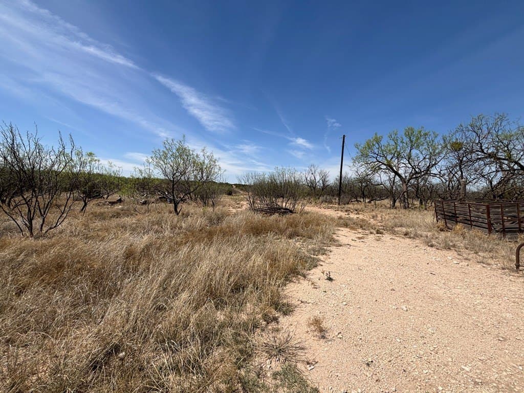 160 acres in Scurry County - photo 5