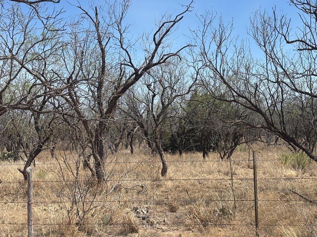 160 acres in Scurry County - photo 13