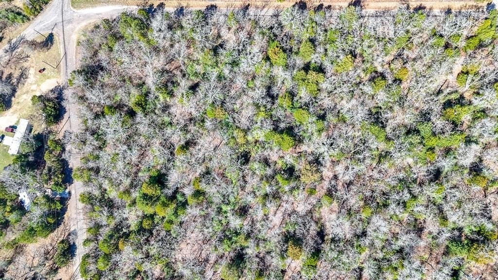 1 acres in Freestone County - photo 15