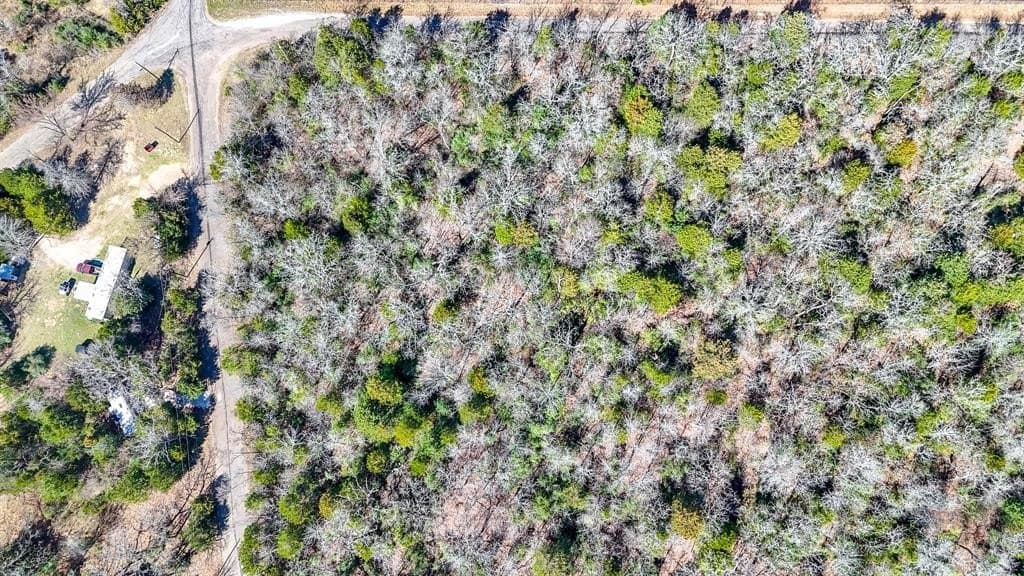 1 acres in Freestone County - photo 14