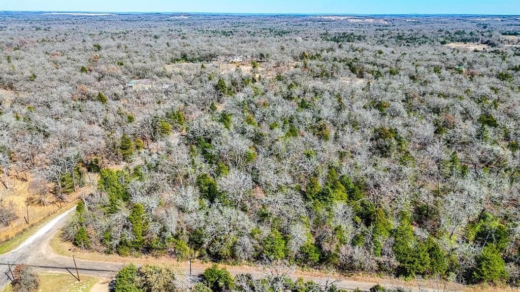 1 acres in Freestone County - photo 11