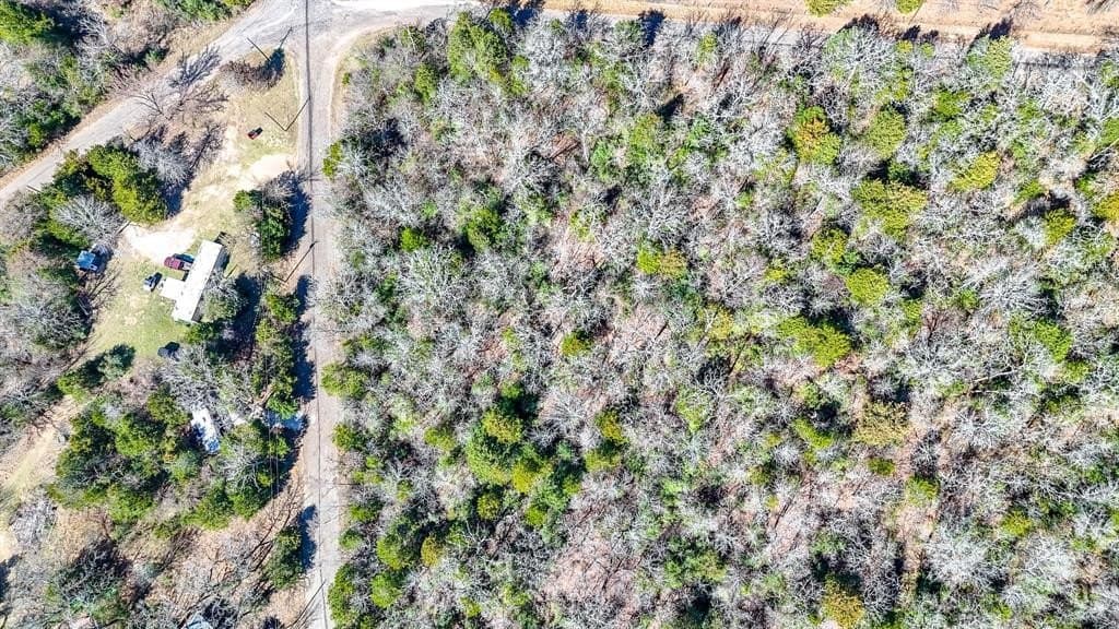 1 acres in Freestone County - photo 12