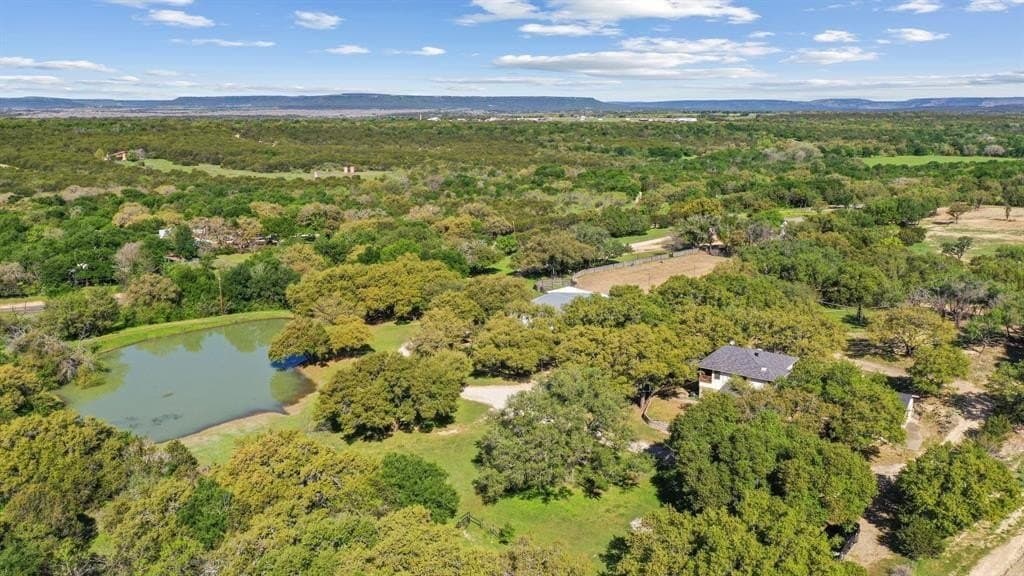 10.01 acres in Palo Pinto County - photo 5