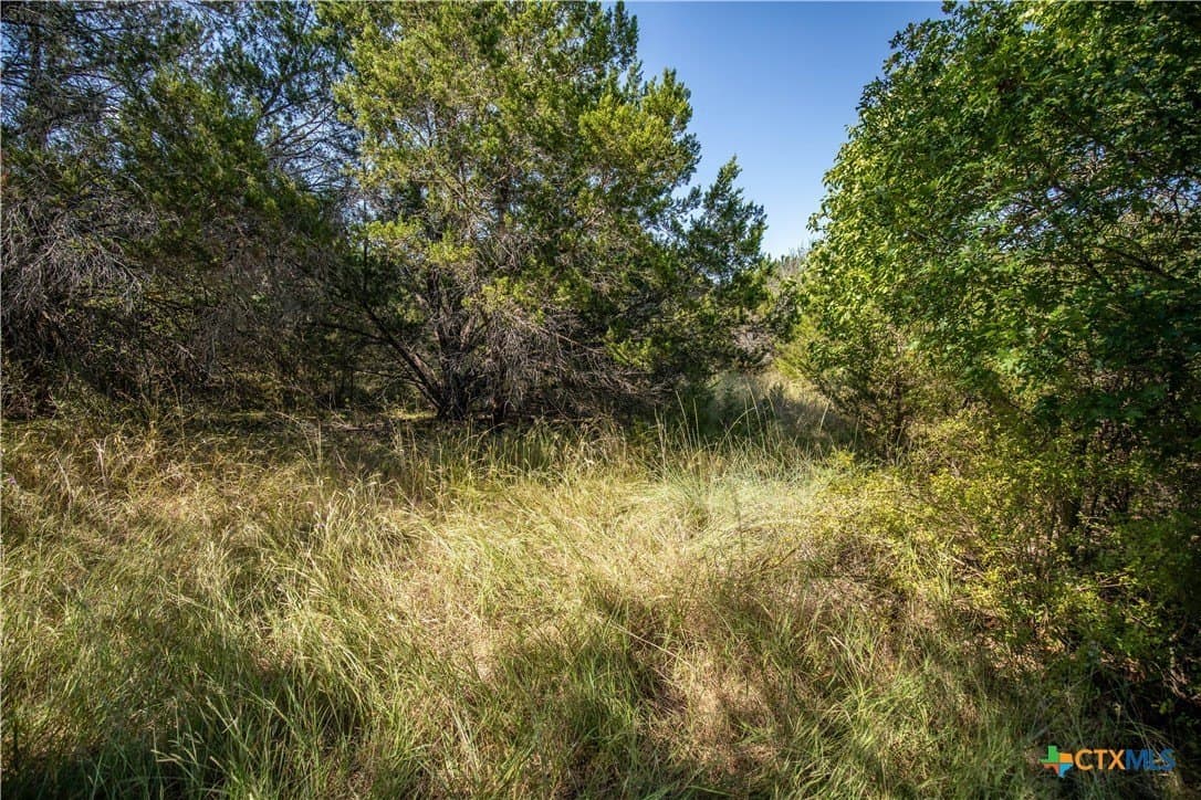 9.58 acres in Bell County - photo 24