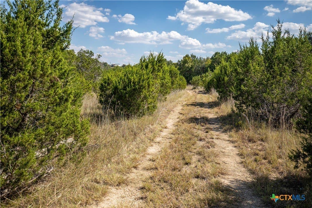 9.58 acres in Bell County - photo 12