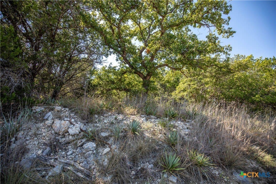 9.58 acres in Bell County - photo 36