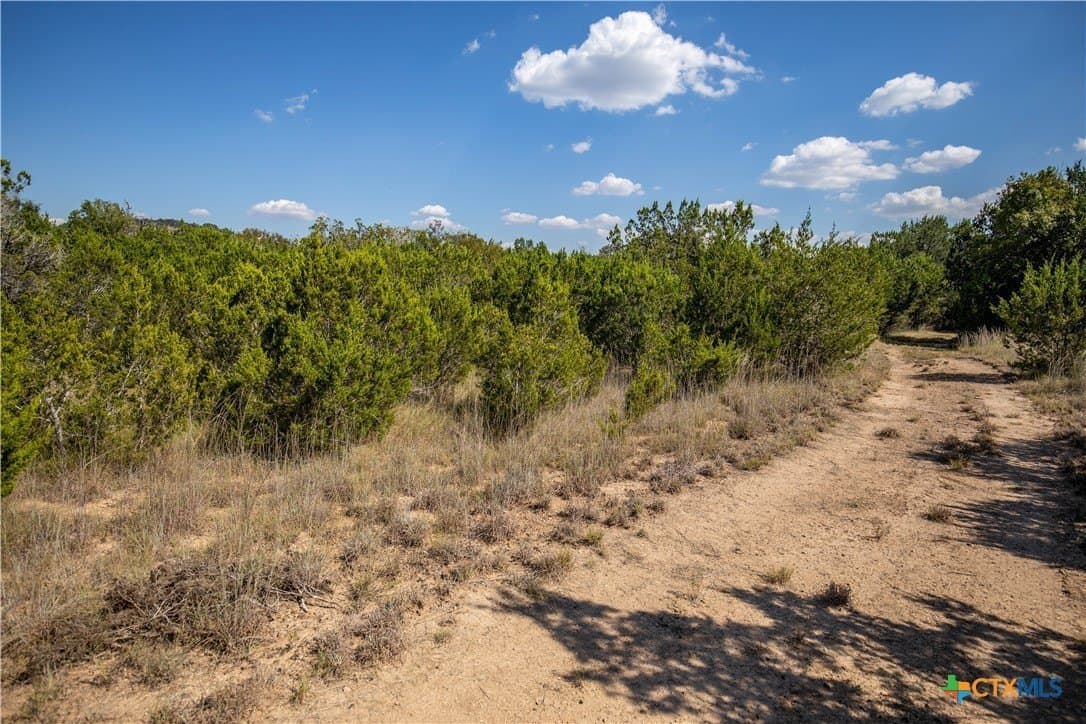 9.58 acres in Bell County - photo 14
