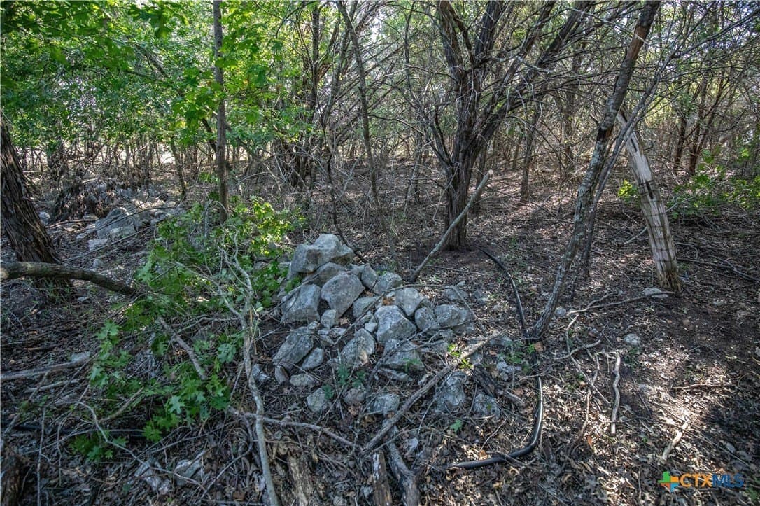 9.58 acres in Bell County - photo 42