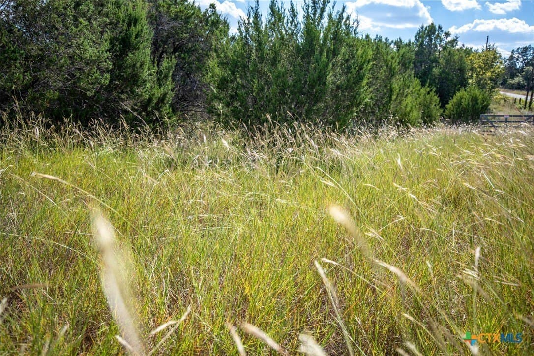 9.58 acres in Bell County - photo 29