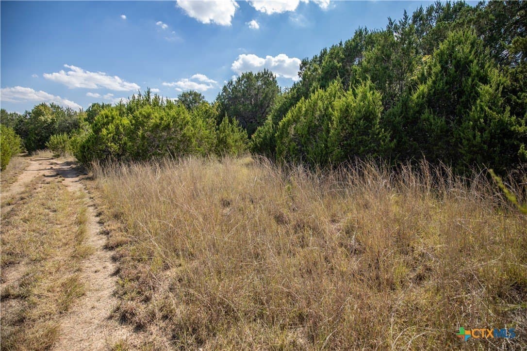 9.58 acres in Bell County - photo 13