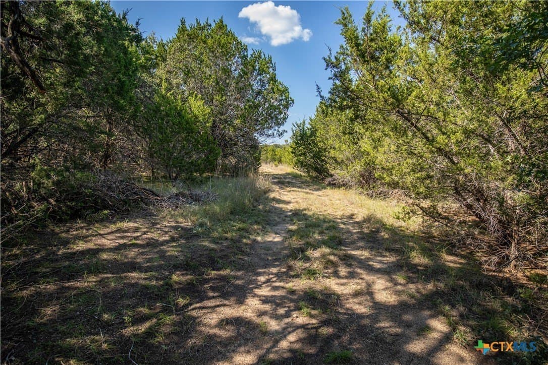 9.58 acres in Bell County - photo 25