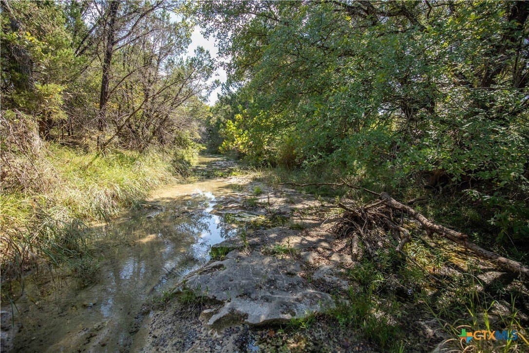 9.58 acres in Bell County - photo 21