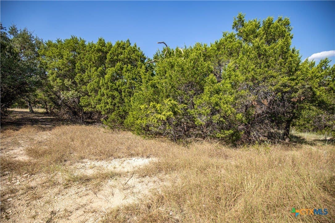 9.58 acres in Bell County - photo 32