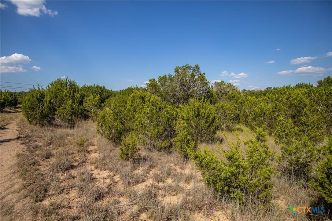 9.58 acres in Bell County - photo 27