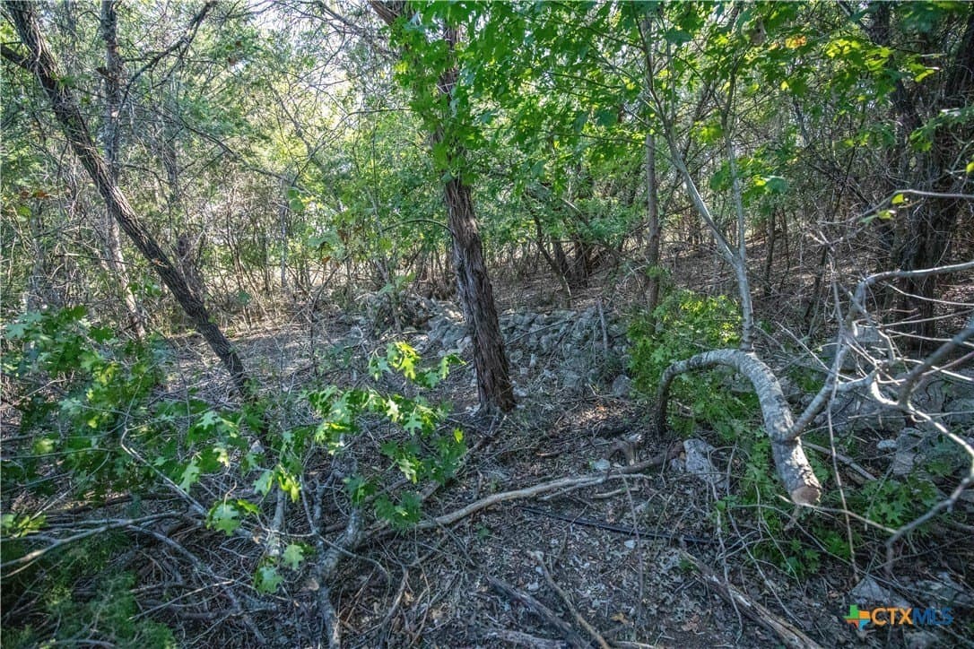 9.58 acres in Bell County - photo 41