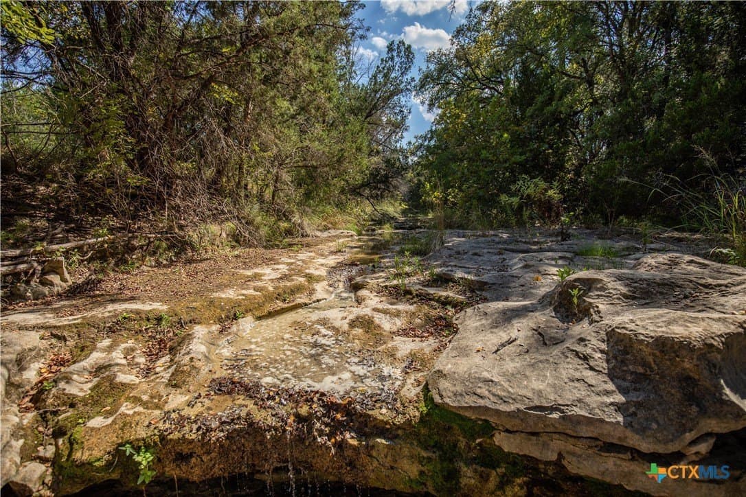 9.58 acres in Bell County - photo 18