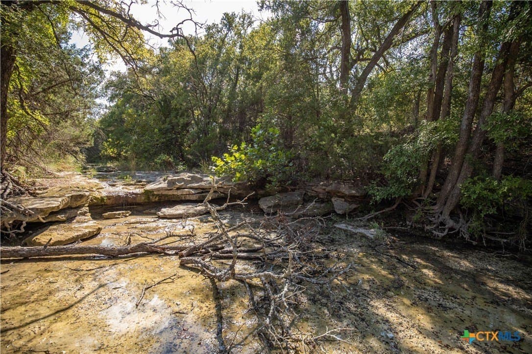 9.58 acres in Bell County - photo 20