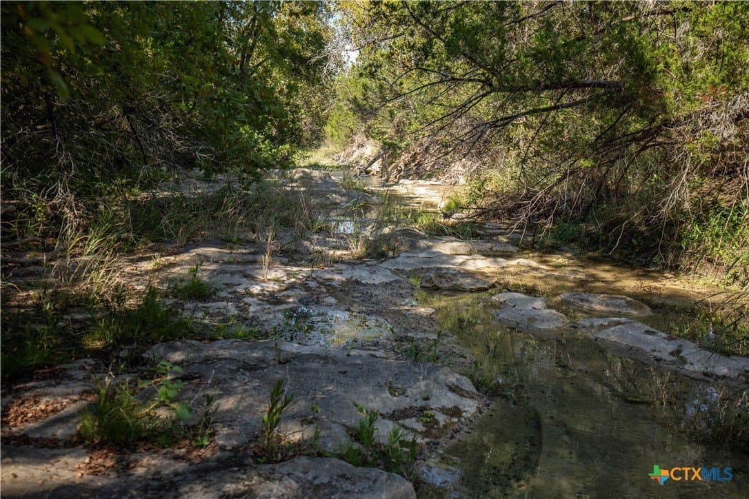9.58 acres in Bell County - photo 22