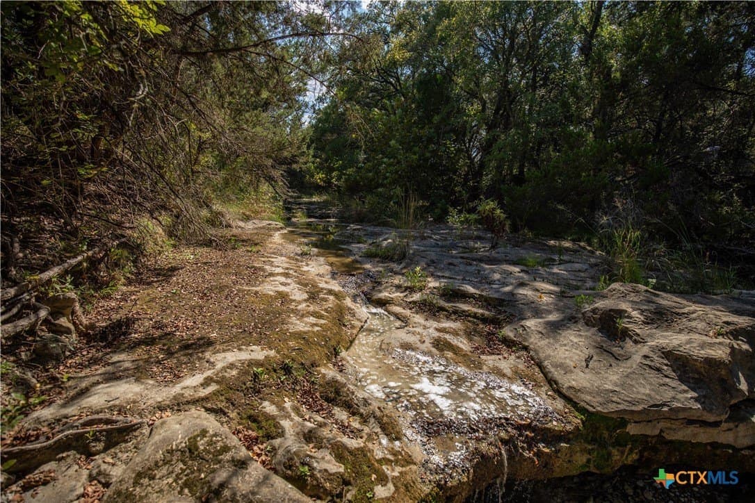 9.58 acres in Bell County - photo 17