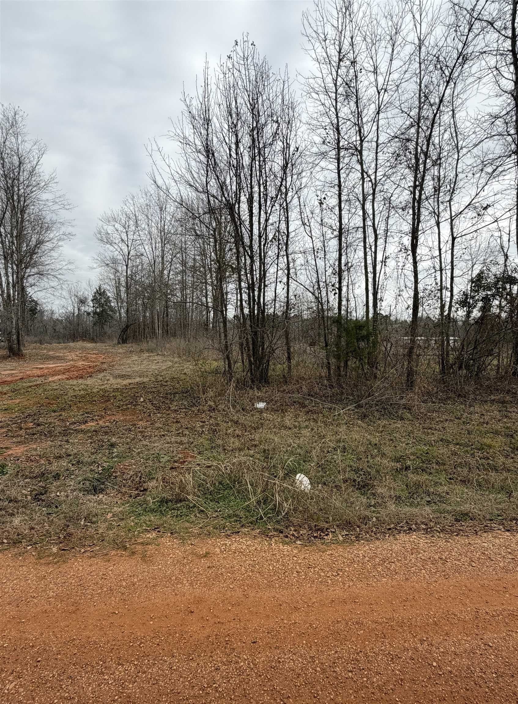 (lot 2) TBD SUNNYMEADOWS BLVD