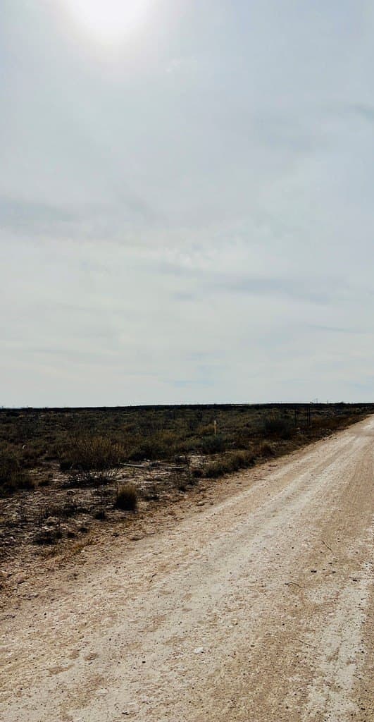 5.05 acres in Ward County - photo 3
