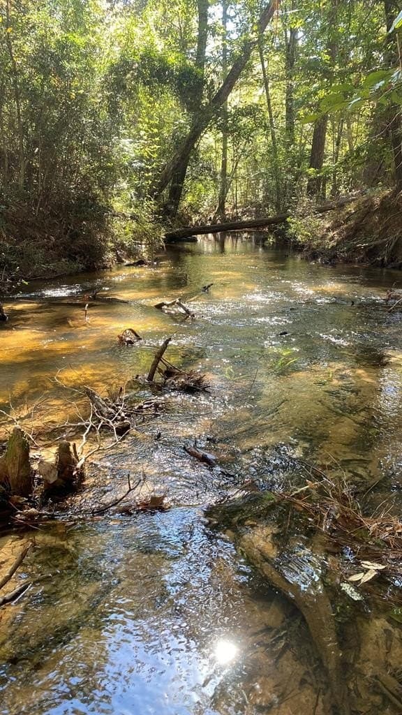 14.28 acres in Texas County - photo 3