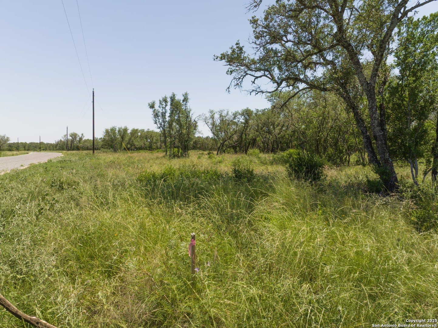 12.29 acres in Medina County - photo 7