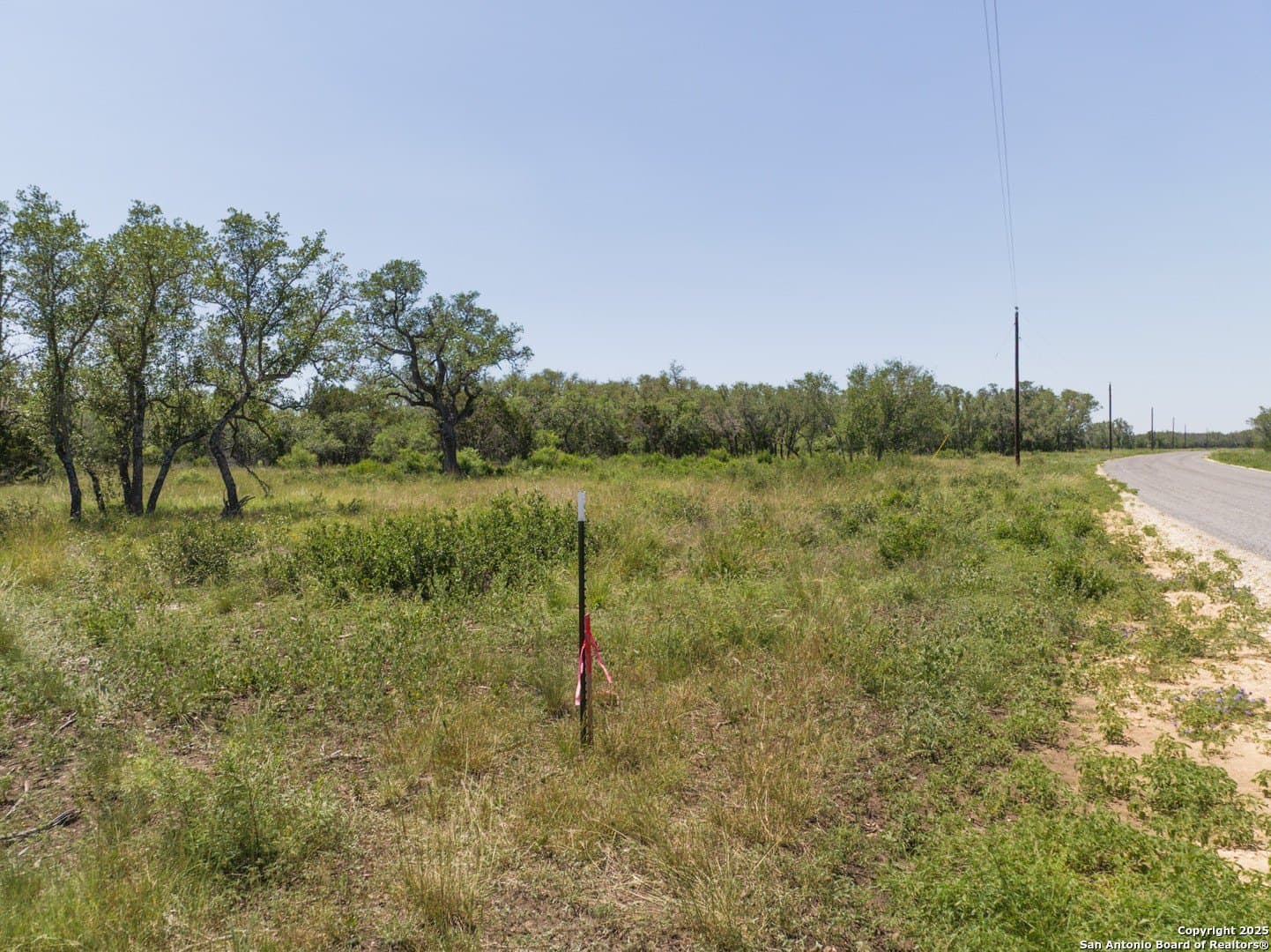 12.29 acres in Medina County - photo 6
