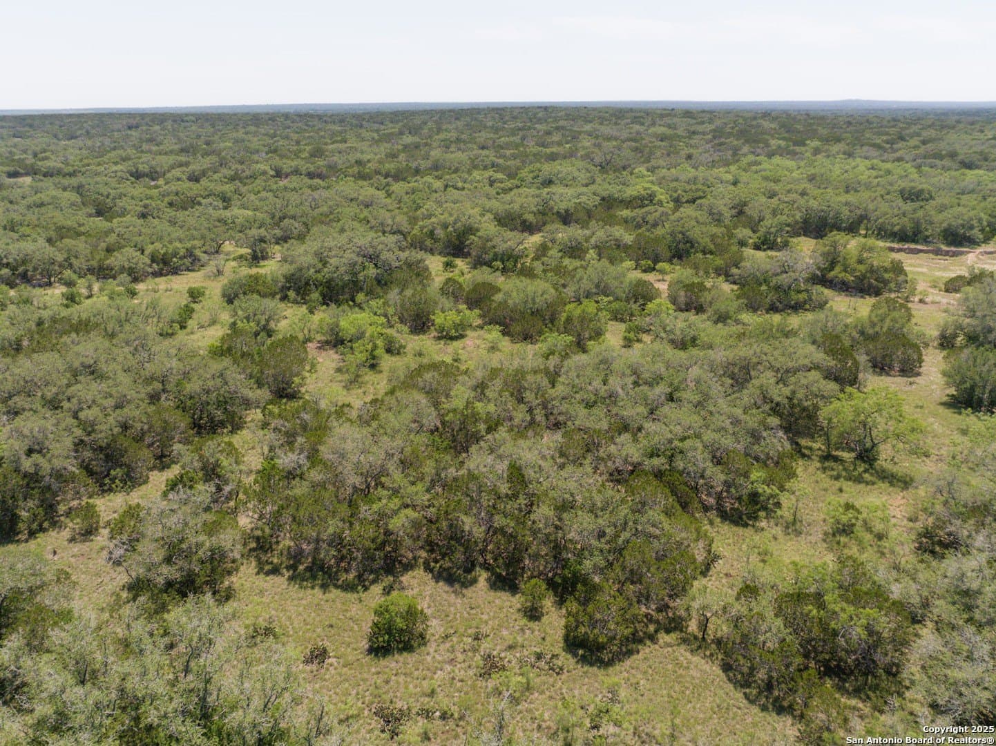12.29 acres in Medina County - photo 9