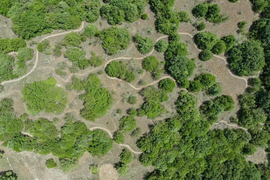 11 acres in Hunt County - photo 9