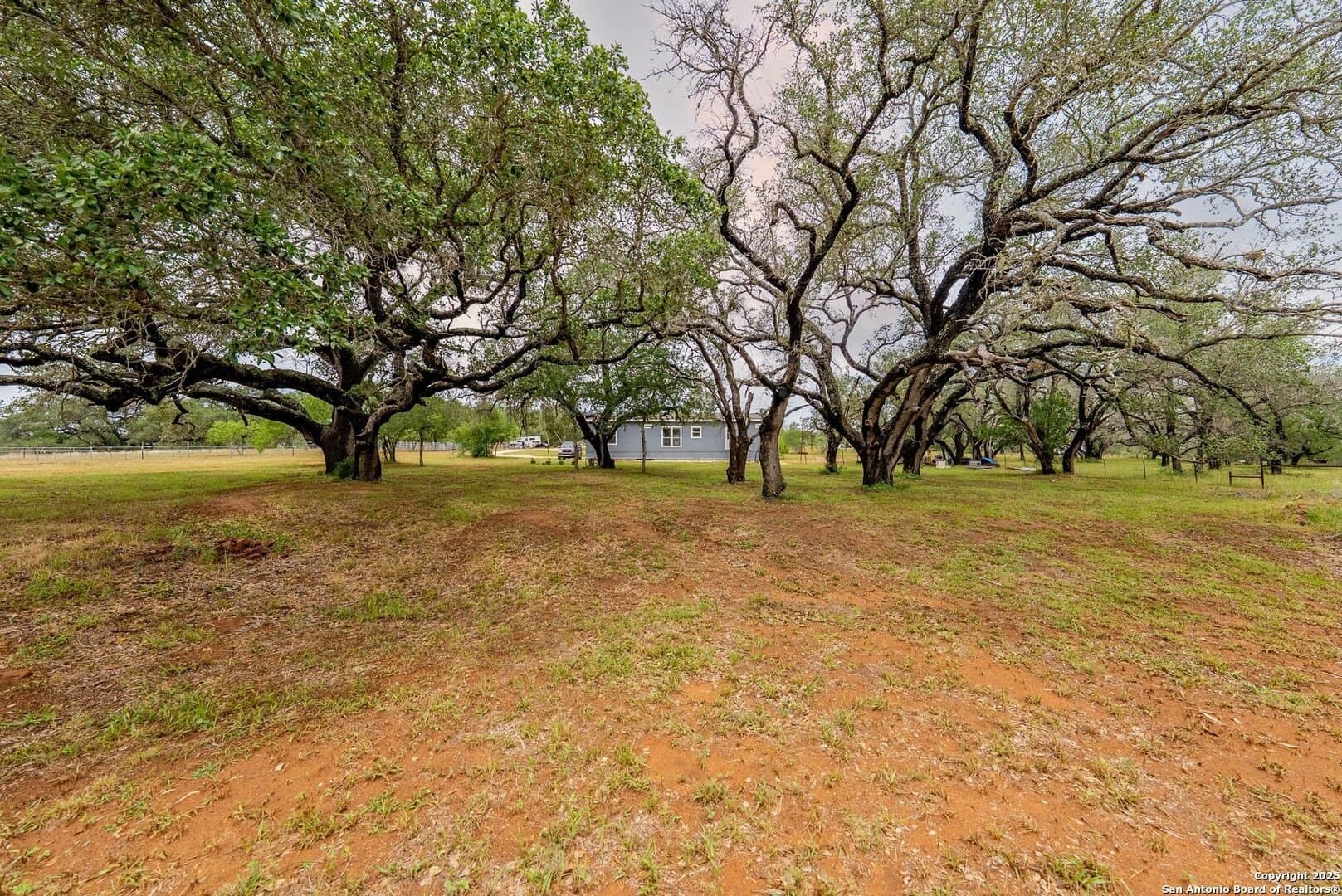 20 acres in Wilson County - photo 44