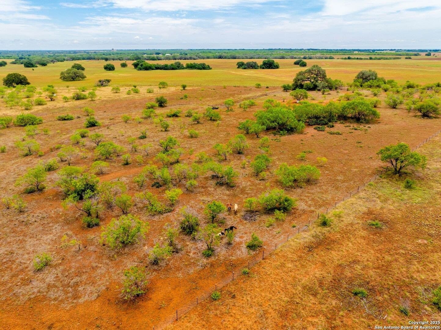 20 acres in Wilson County - photo 72