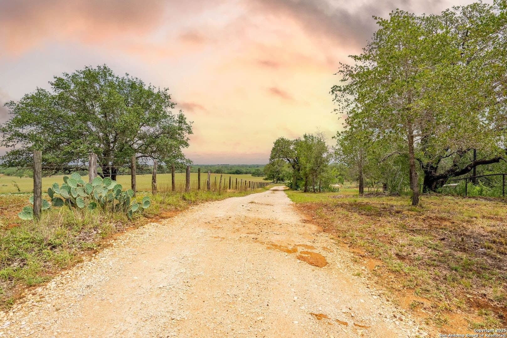20 acres in Wilson County - photo 39