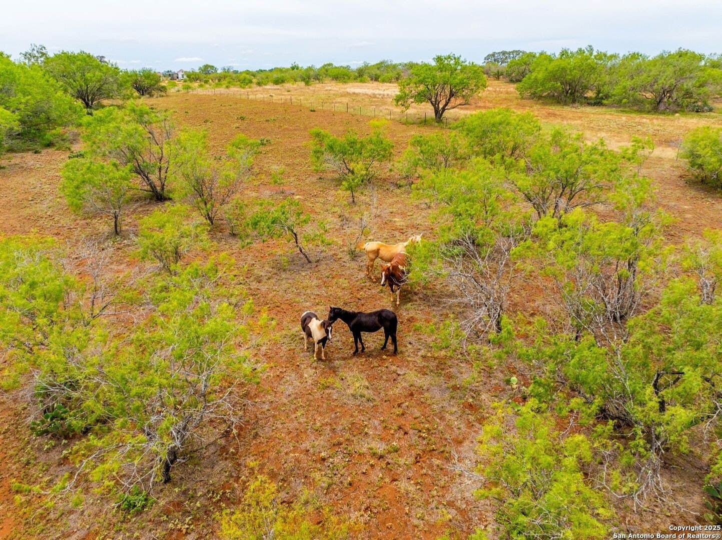 20 acres in Wilson County - photo 70