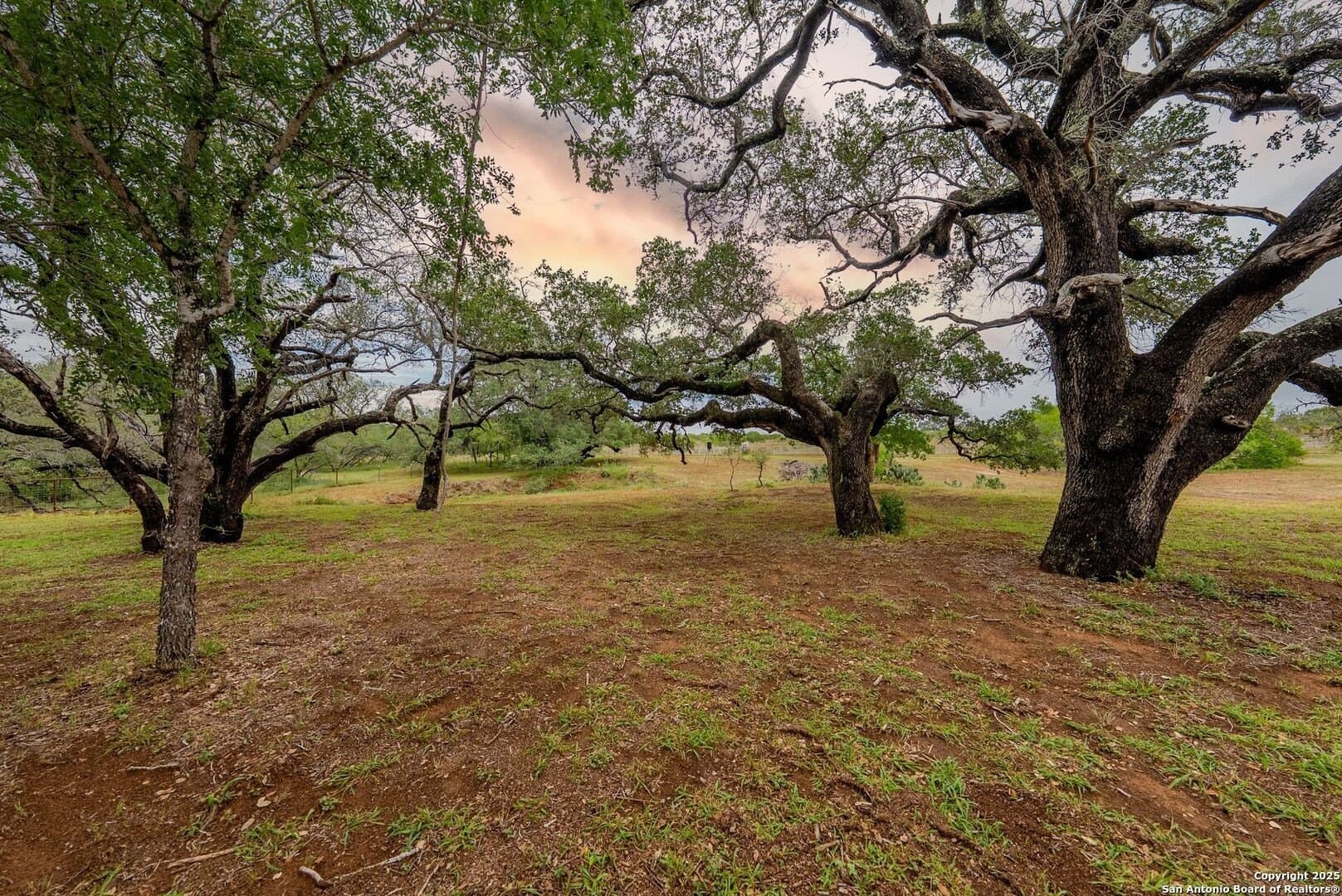 20 acres in Wilson County - photo 32