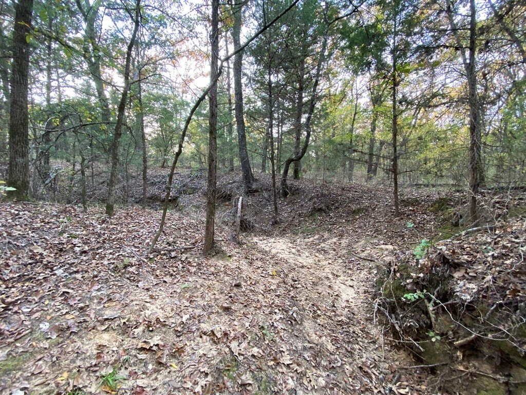 10.37 acres in Henderson County - photo 6