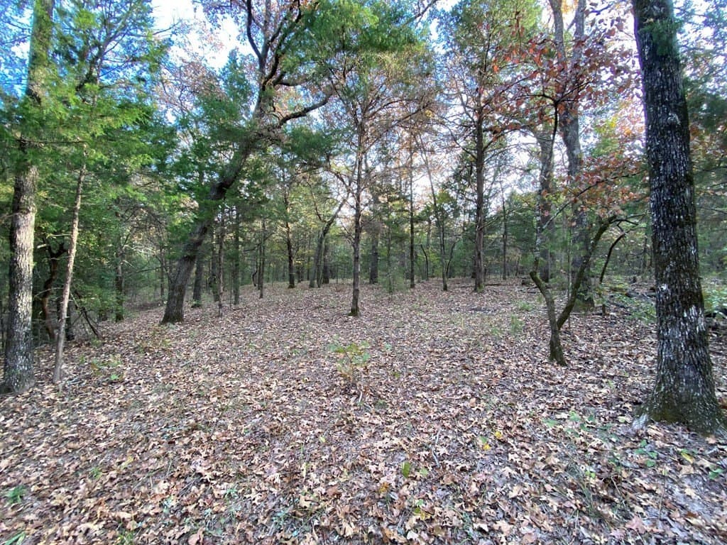 10.37 acres in Henderson County - photo 5