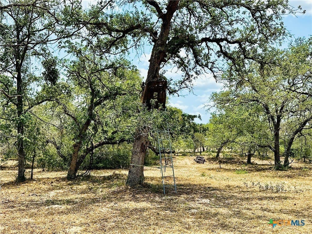 49.99 acres in Wilson County - photo 45