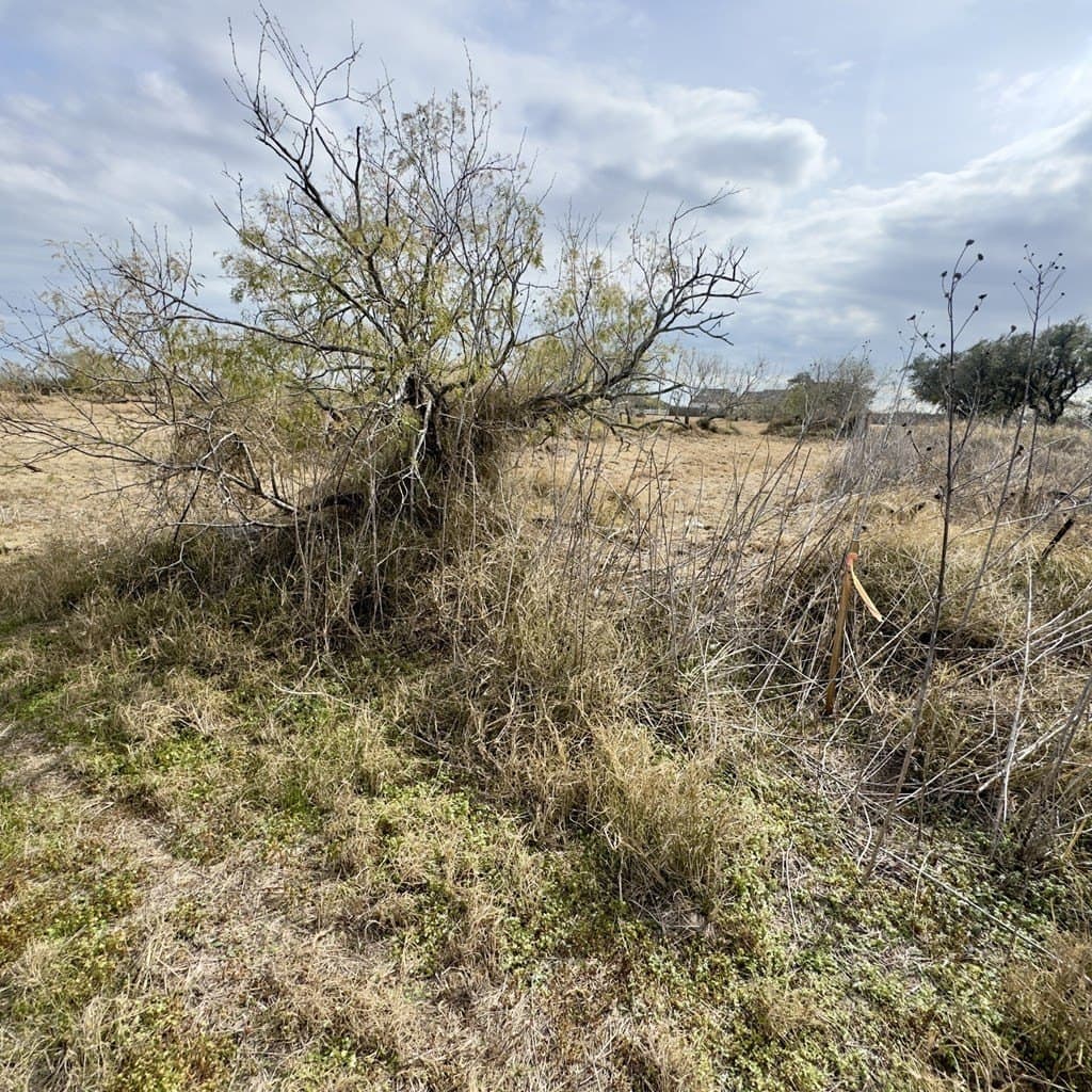 0 acres in Texas County - photo 5