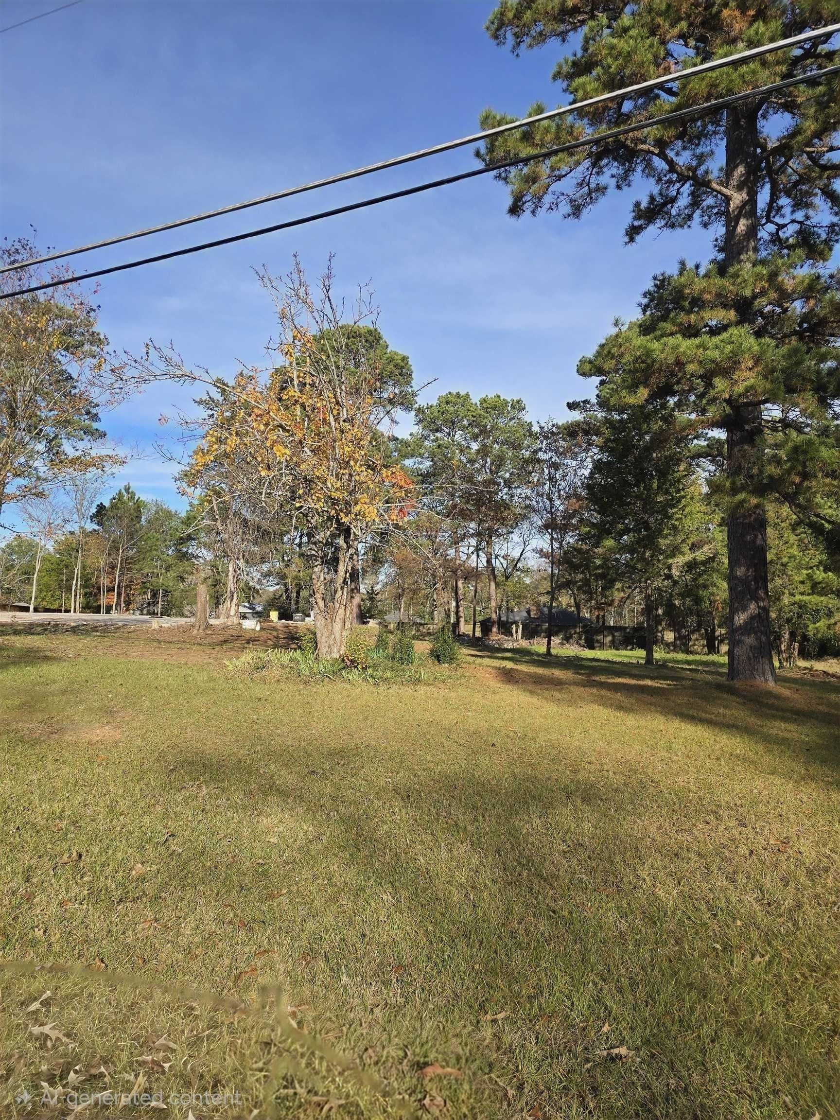 1.03 acres in Gregg County - photo 4