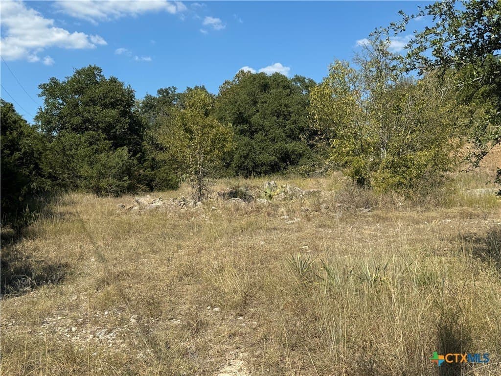 1.02 acres in Bell County - photo 4