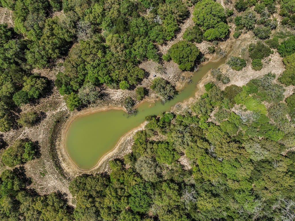 29.87 acres in Lavaca County - photo 25