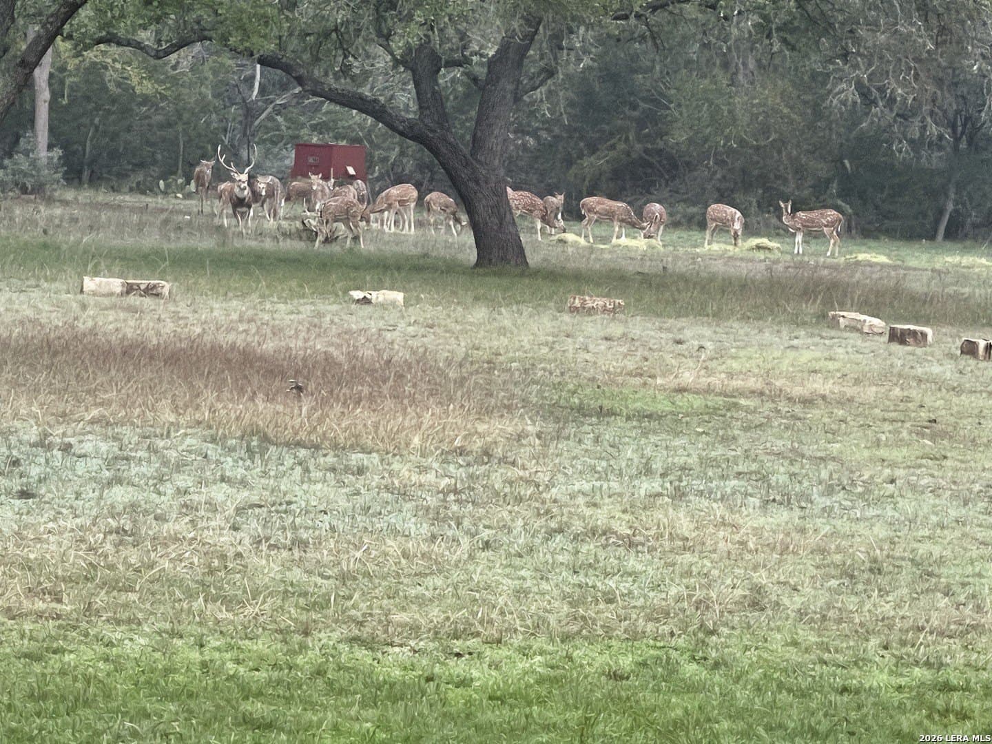 13.94 acres in Kerr County - photo 52
